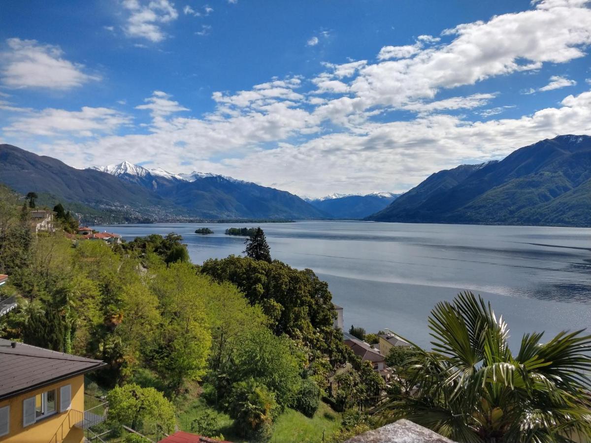 Garden Hotel Primavera Brissago Eksteriør billede